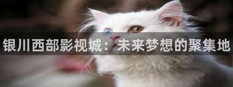 浮力影院国产首页